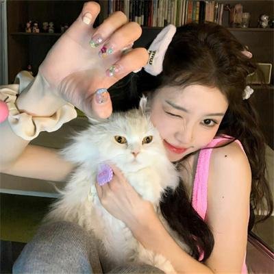 阿里,山羊与阿伯拉希姆 在线观看封面